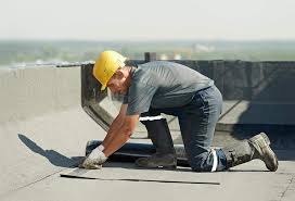 Best Roof Insulation Installation  in Edcouch, TX